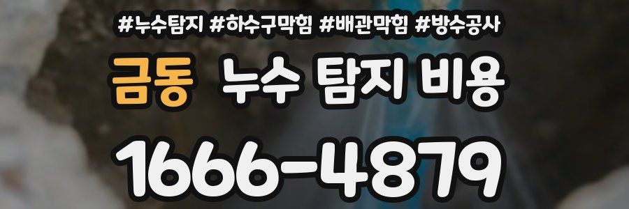 금동 누수 탐지 비용