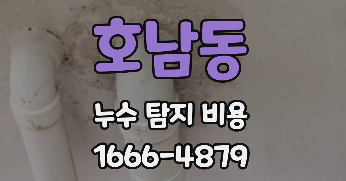호남동 누수 탐지 비용