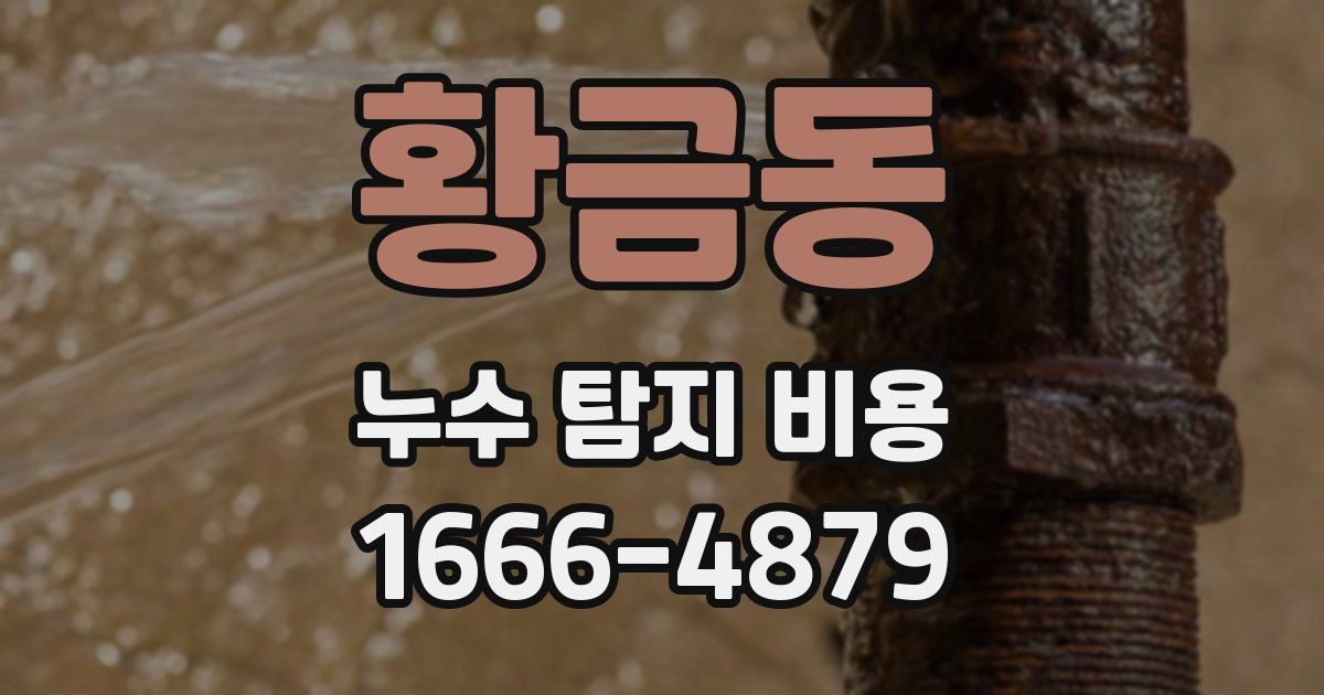 황금동 누수 탐지 비용