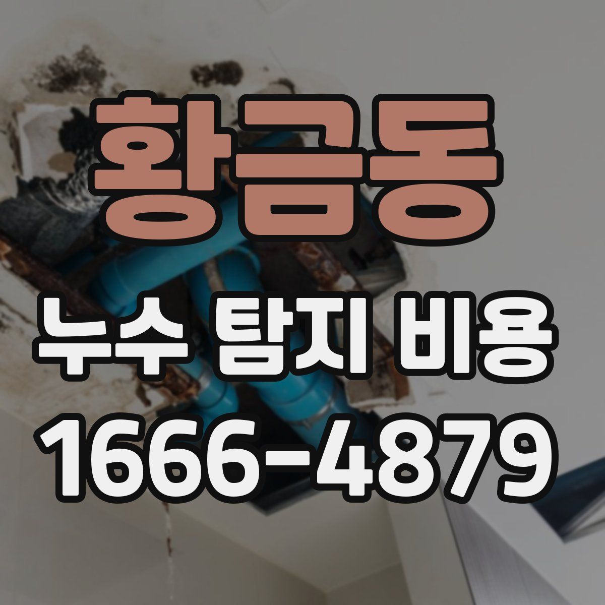 황금동 누수 탐지 비용