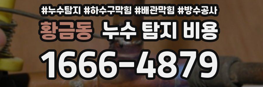황금동 누수 탐지 비용