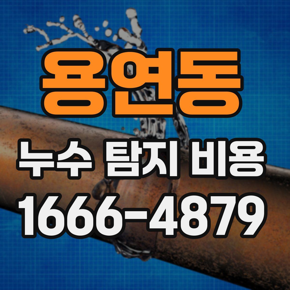 용연동 누수 탐지 비용