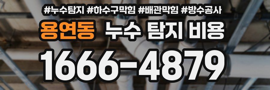 용연동 누수 탐지 비용