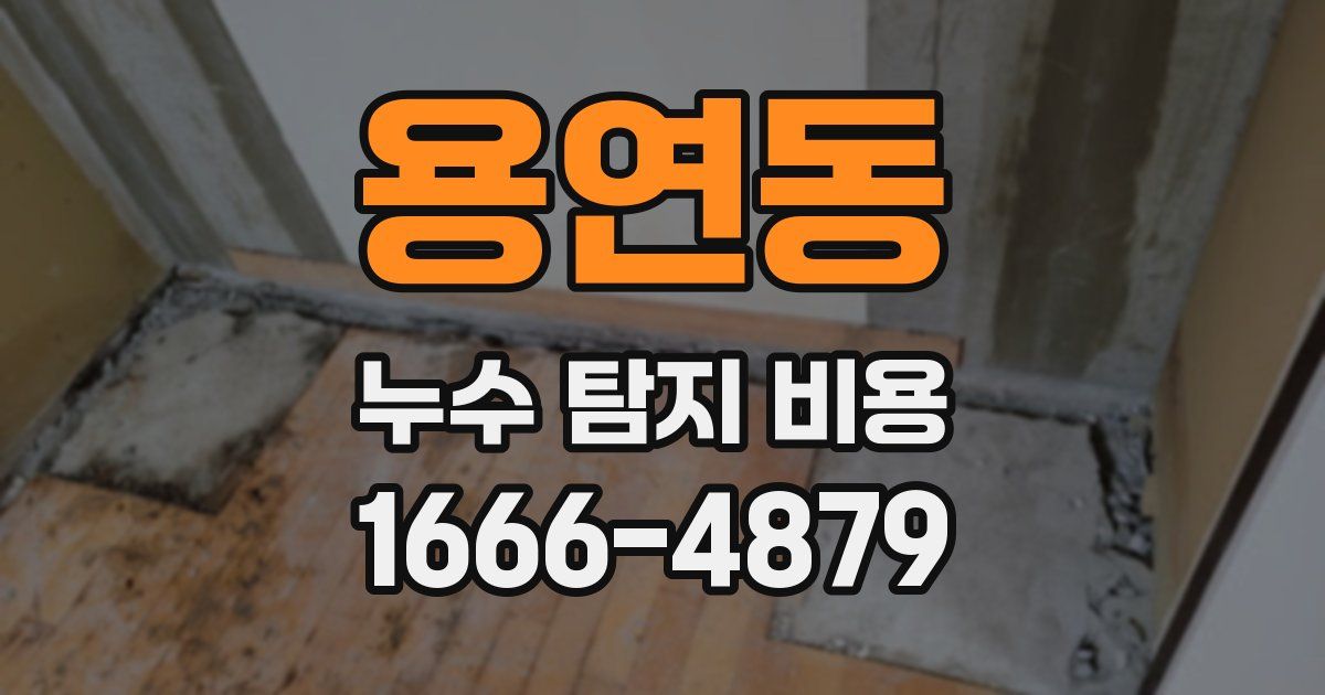 용연동 누수 탐지 비용