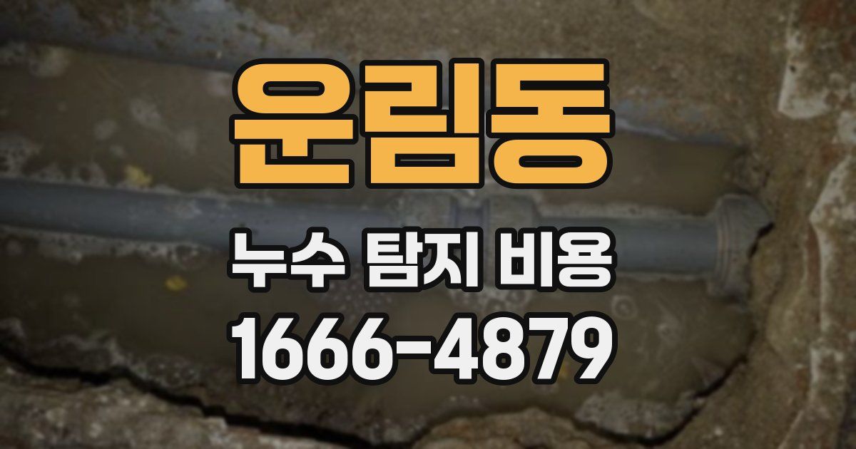 운림동 누수 탐지 비용