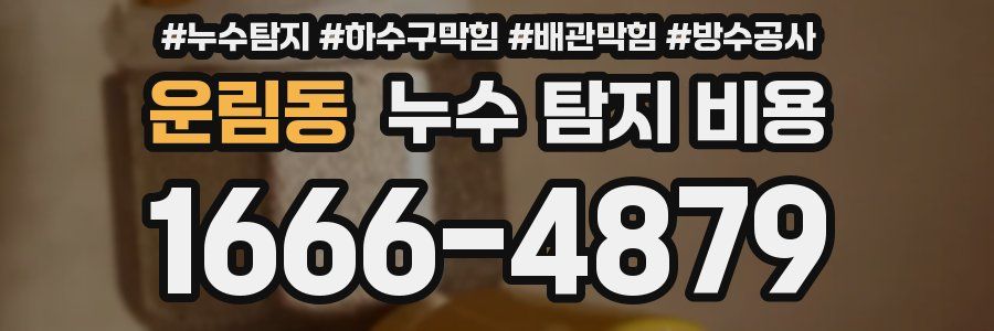 운림동 누수 탐지 비용