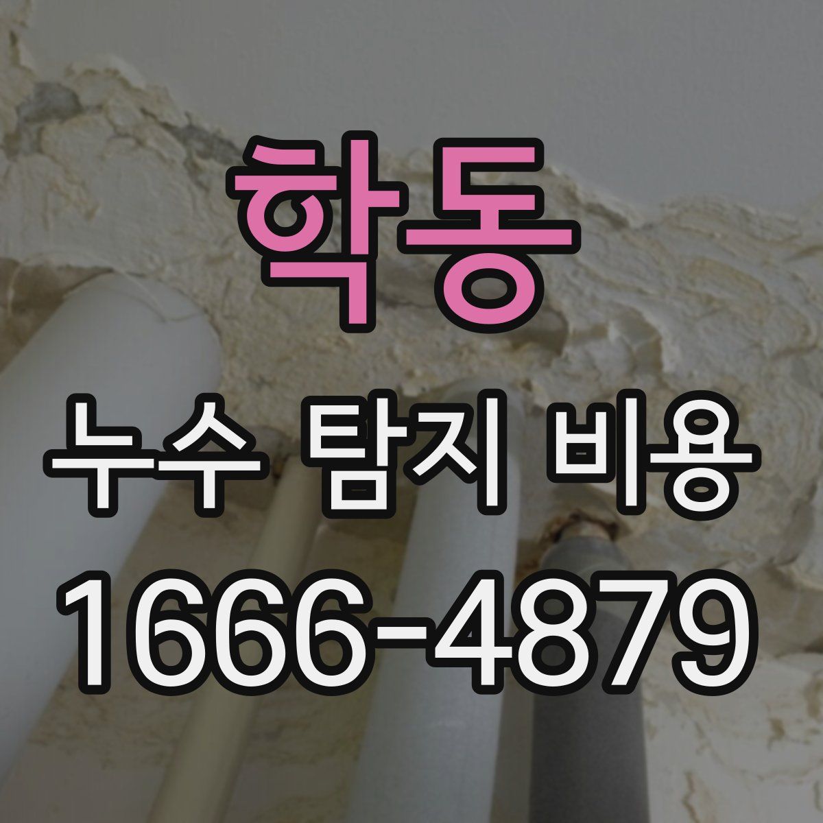 학동 누수 탐지 비용
