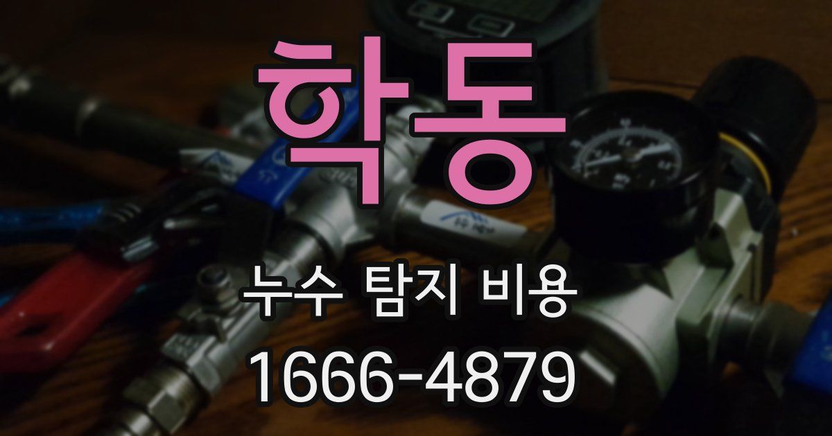 학동 누수 탐지 비용