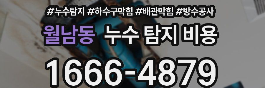 월남동 누수 탐지 비용