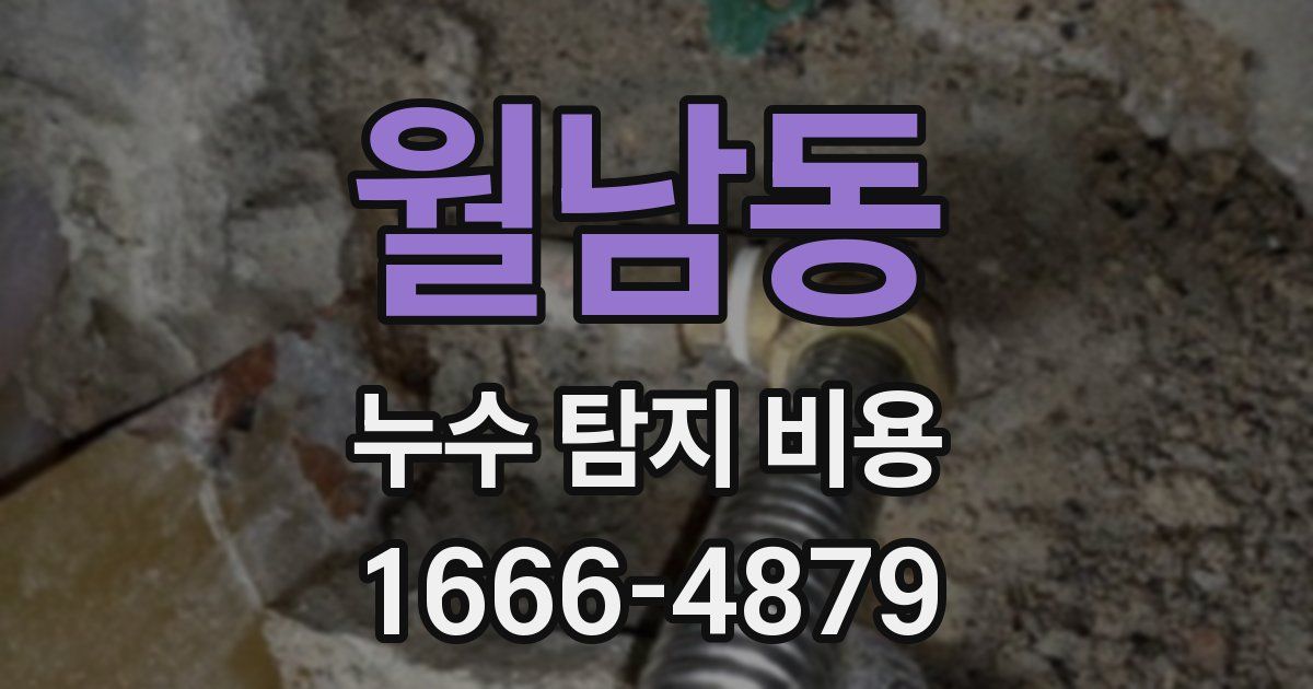월남동 누수 탐지 비용