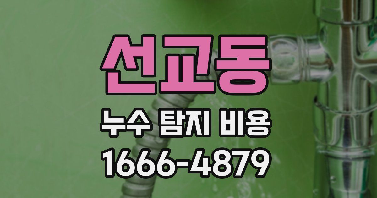 선교동 누수 탐지 비용