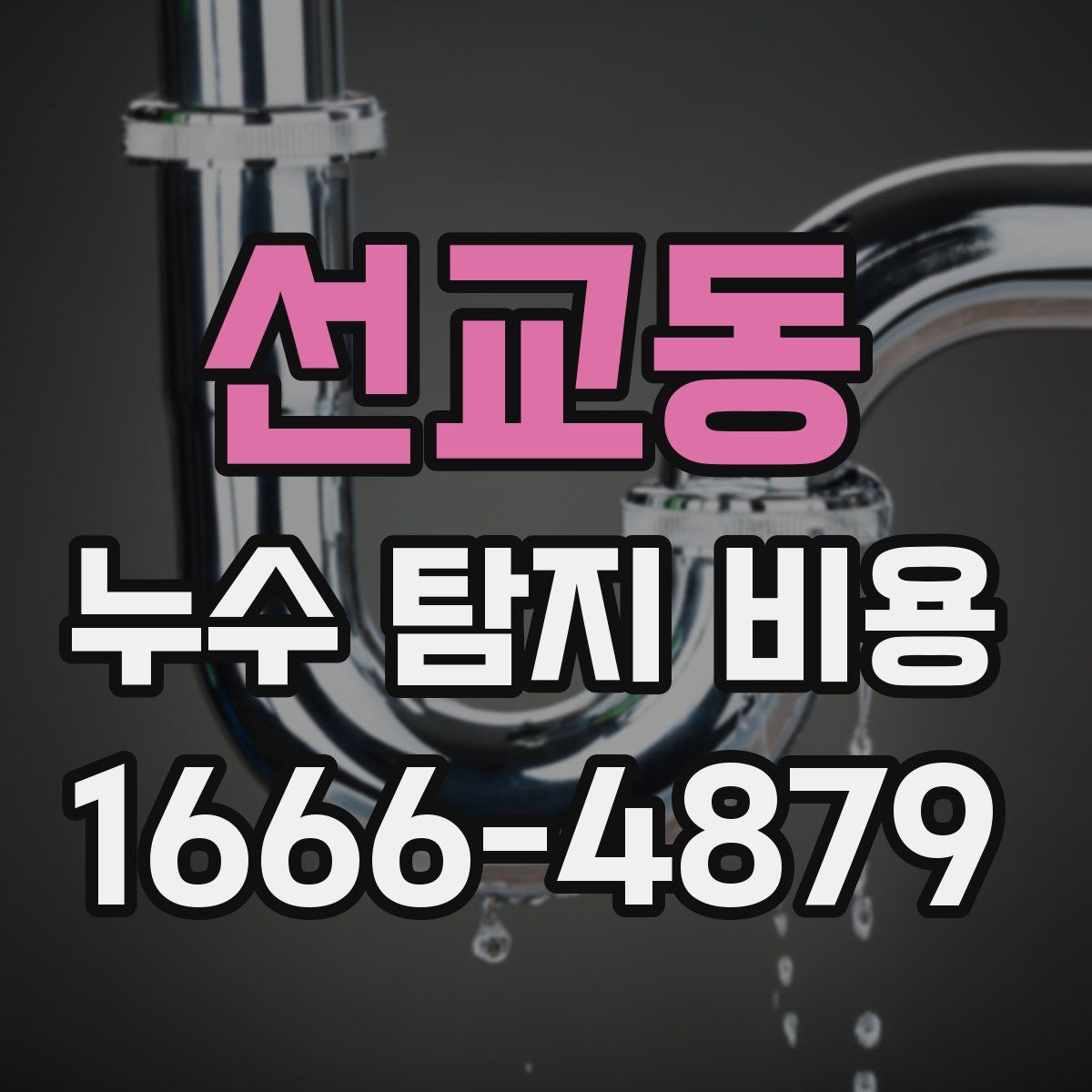 선교동 누수 탐지 비용
