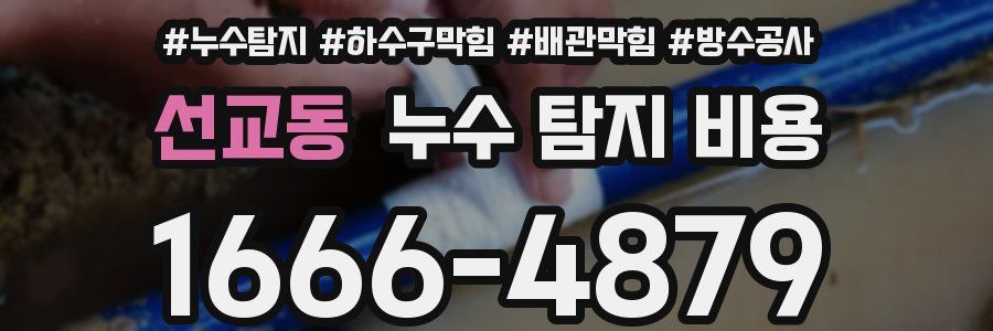 선교동 누수 탐지 비용