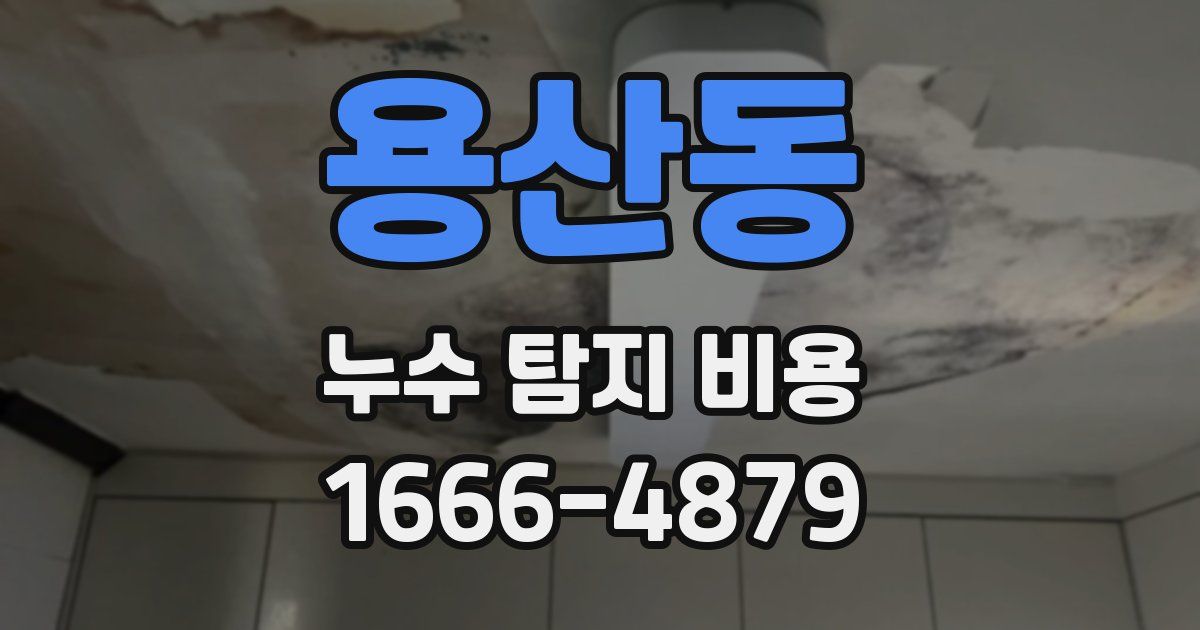 용산동 누수 탐지 비용