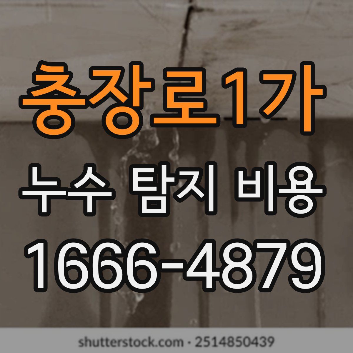 충장로1가 누수 탐지 비용