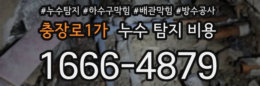 충장로1가 누수 탐지 비용
