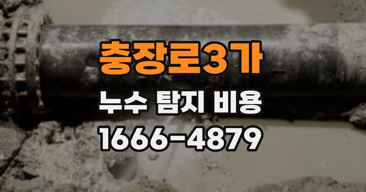 충장로3가 누수 탐지 비용