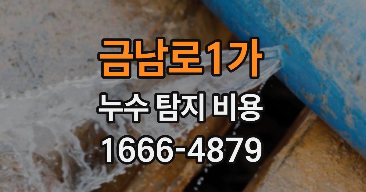 금남로1가 누수 탐지 비용
