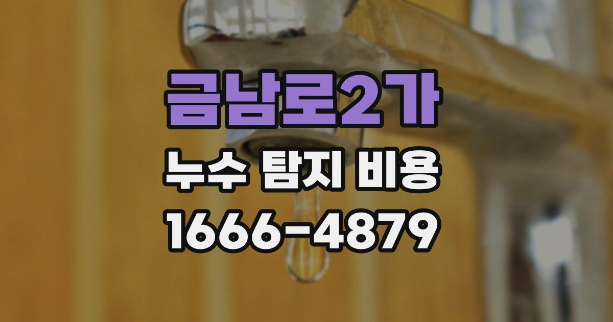금남로2가 누수 탐지 비용