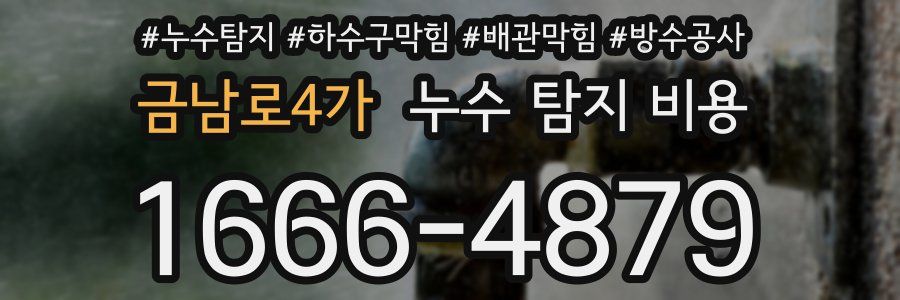 금남로4가 누수 탐지 비용