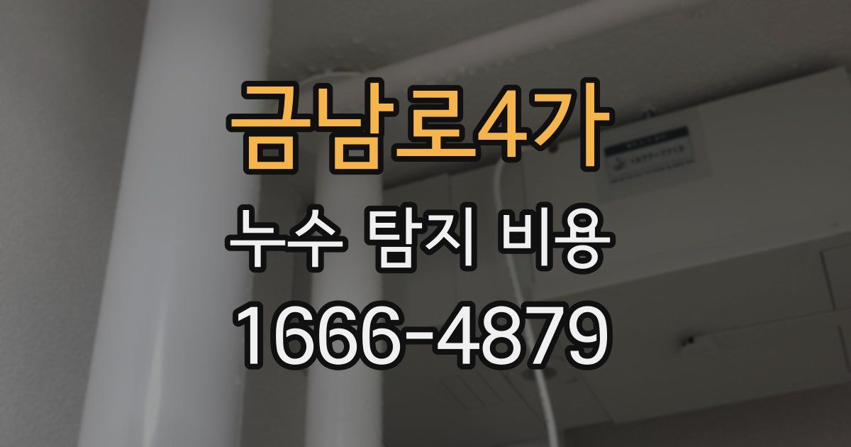 금남로4가 누수 탐지 비용