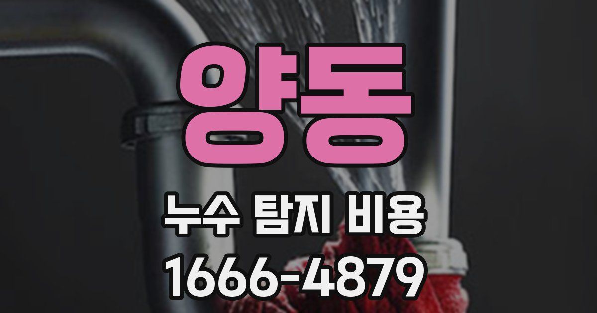 양동 누수 탐지 비용