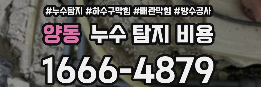 양동 누수 탐지 비용