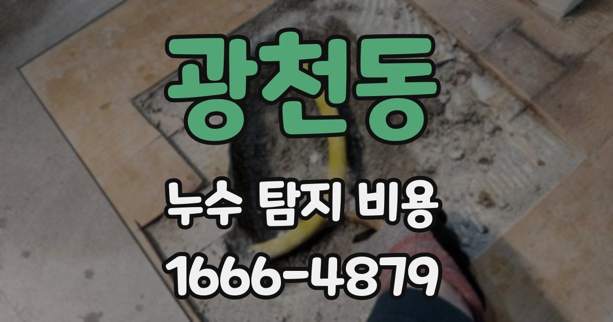 광천동 누수 탐지 비용