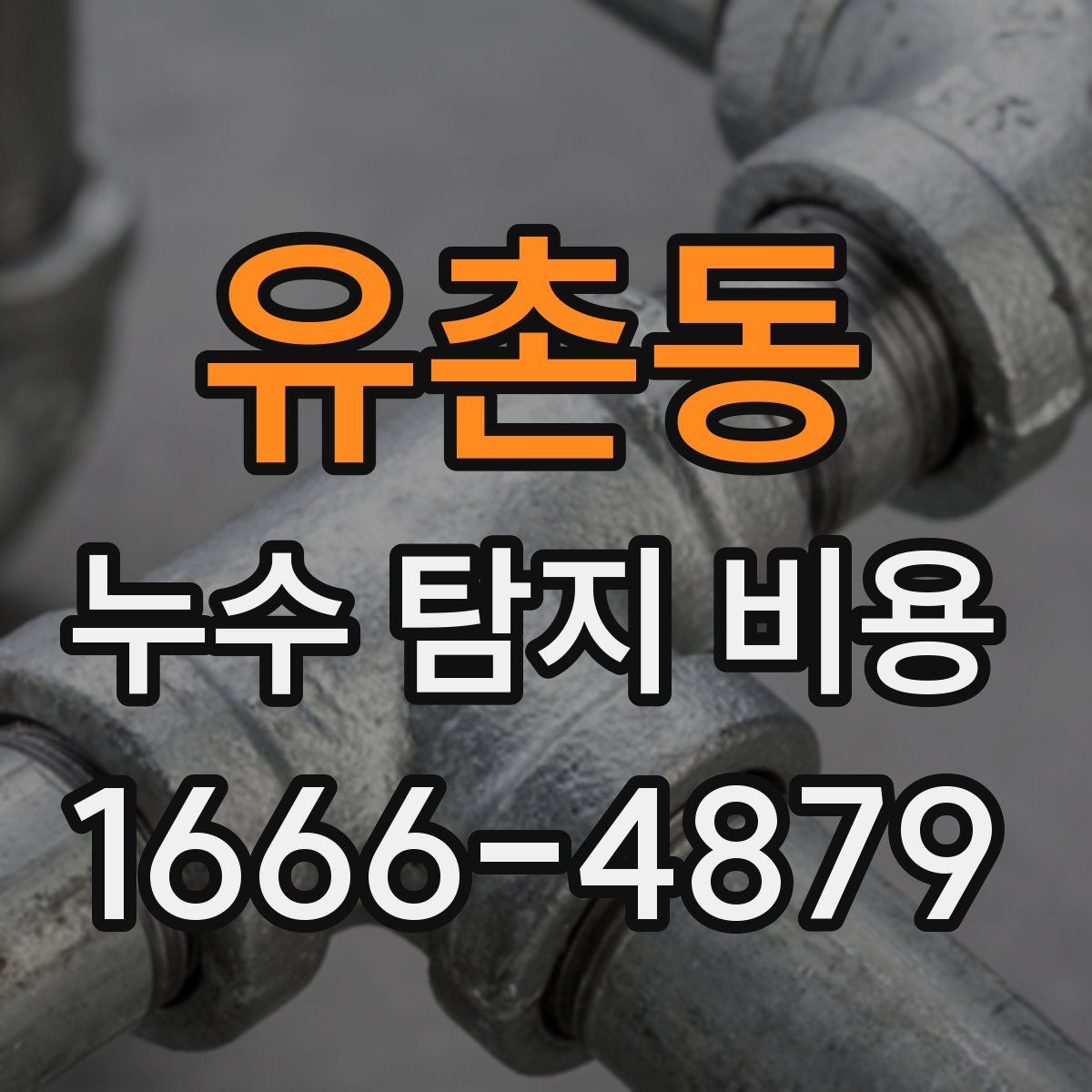 유촌동 누수 탐지 비용