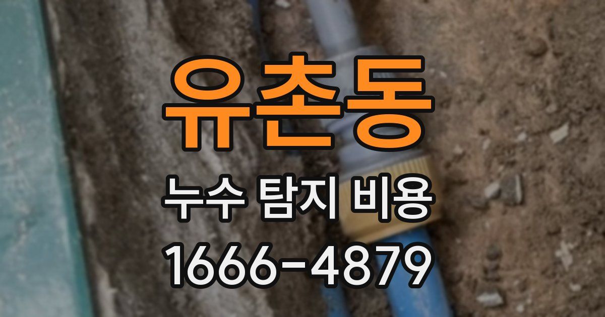 유촌동 누수 탐지 비용
