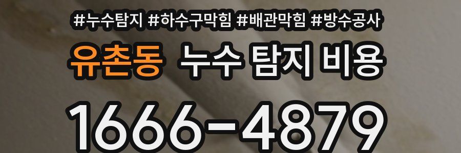 유촌동 누수 탐지 비용