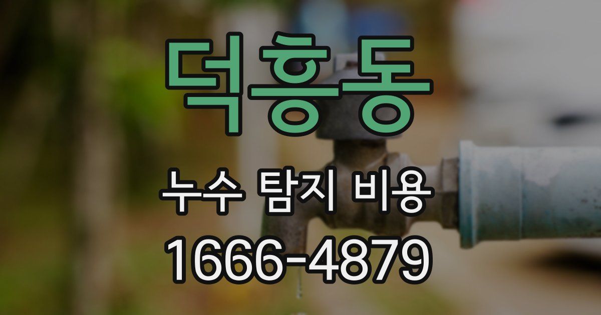 덕흥동 누수 탐지 비용
