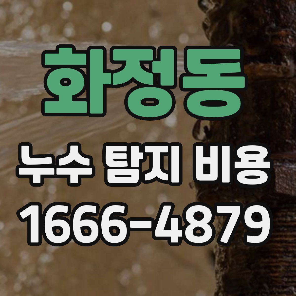 화정동 누수 탐지 비용