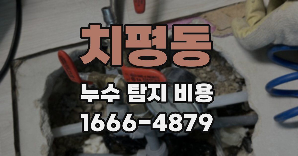 치평동 누수 탐지 비용