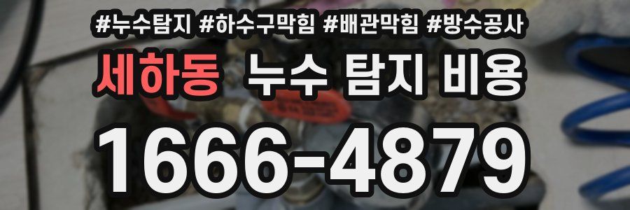 세하동 누수 탐지 비용