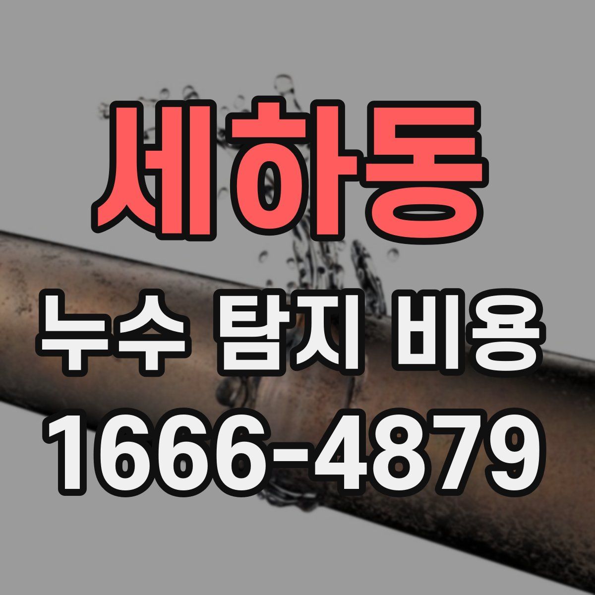 세하동 누수 탐지 비용