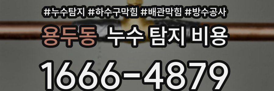 용두동 누수 탐지 비용