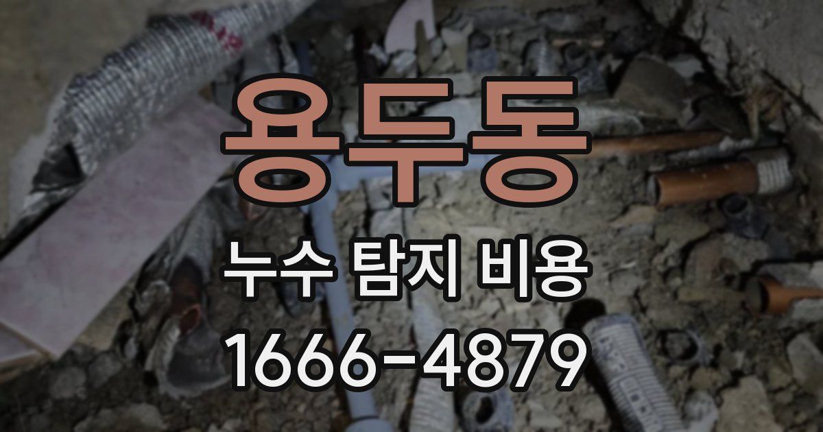 용두동 누수 탐지 비용