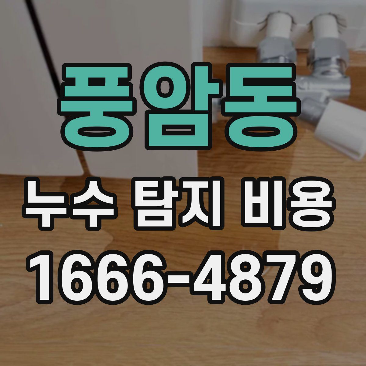 풍암동 누수 탐지 비용