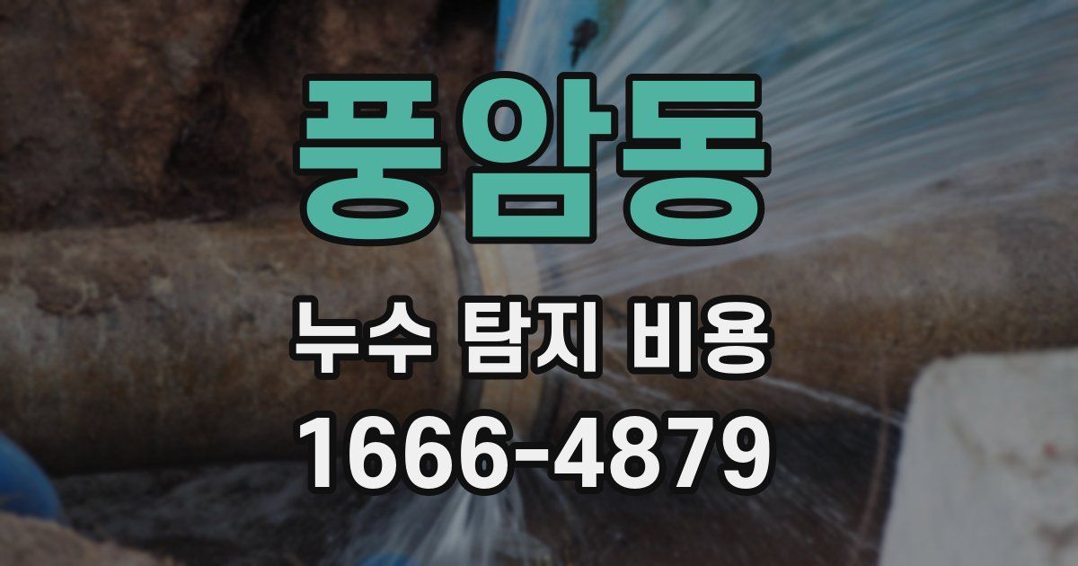 풍암동 누수 탐지 비용