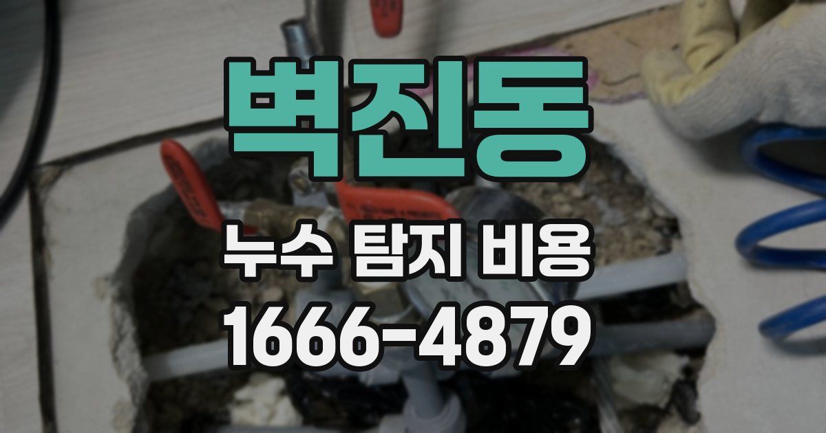 벽진동 누수 탐지 비용