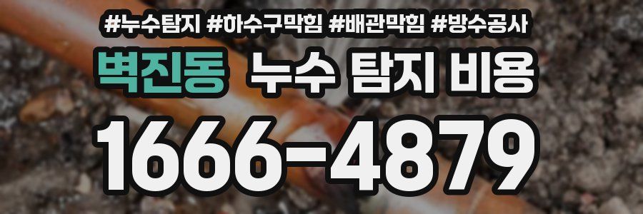 벽진동 누수 탐지 비용