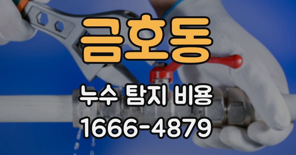 금호동 누수 탐지 비용