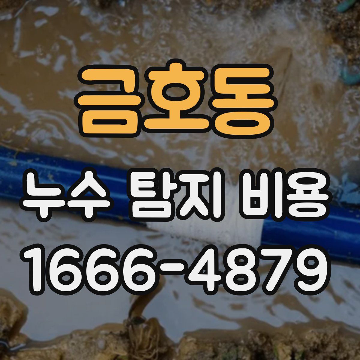 금호동 누수 탐지 비용