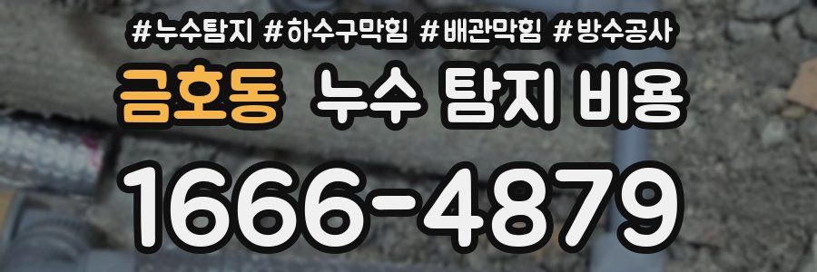 금호동 누수 탐지 비용