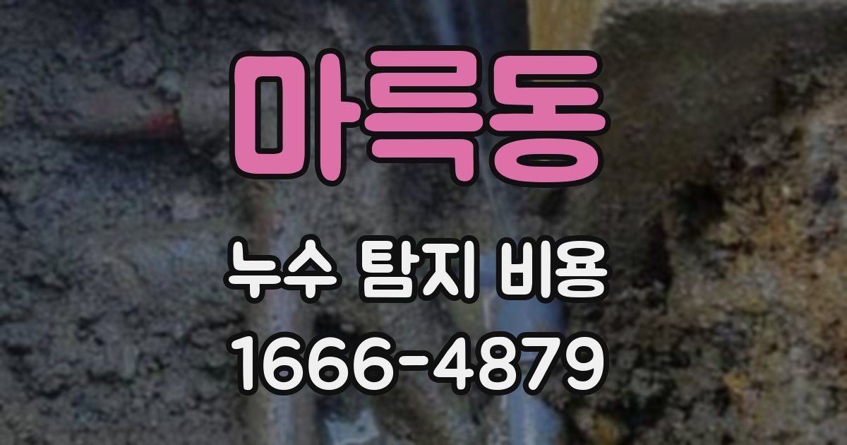 마륵동 누수 탐지 비용