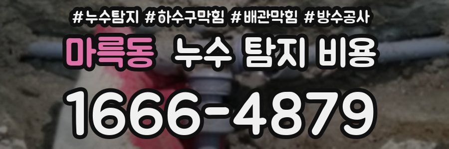 마륵동 누수 탐지 비용