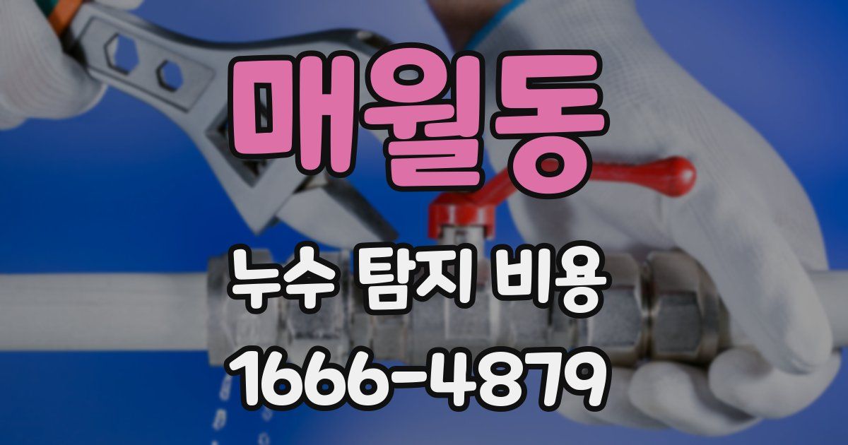 매월동 누수 탐지 비용