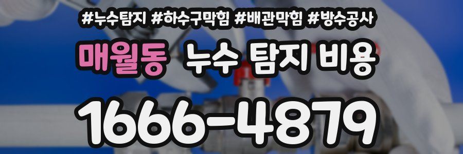 매월동 누수 탐지 비용