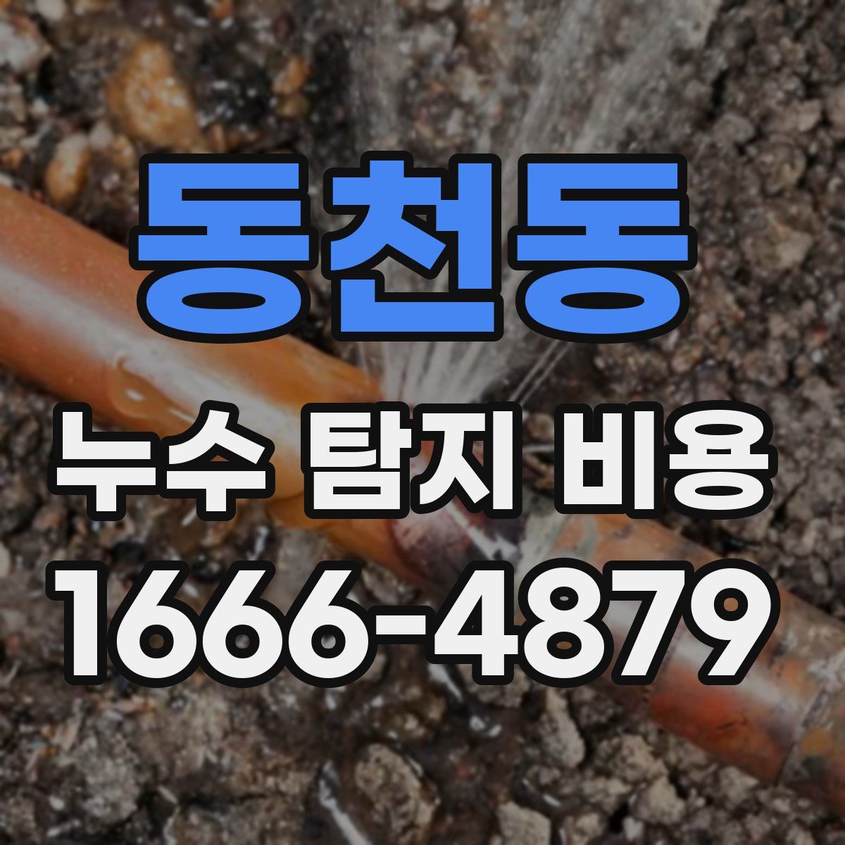 동천동 누수 탐지 비용